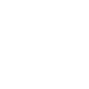 Gemini Agency